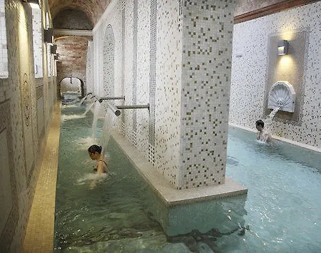 Hotel Hotel Parque Balneario Termas Pallares Alhama de Aragón