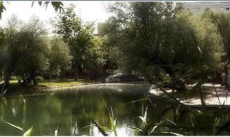 Отель Parque Balneario Termas Pallares